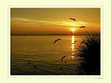 Sonnenuntergang Bodensee-DSCN2001k